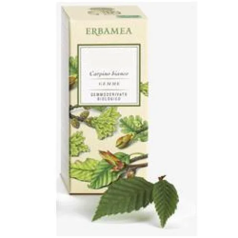 AESCULUS HIPPOC GEMME GD 50ML
