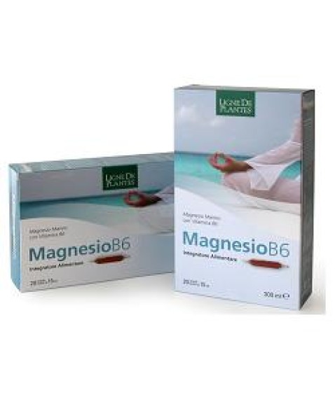 MAGNESIO B6 20AB 15ML