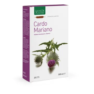 CARDO MARIANO 20AB 15ML