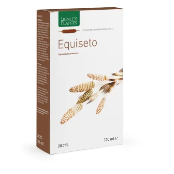 EQUISETO BIO 20AMPOLLE 15ML