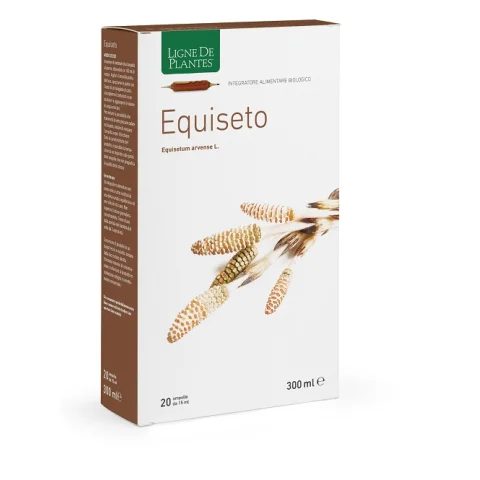 EQUISETO BIO 20AMPOLLE 15ML