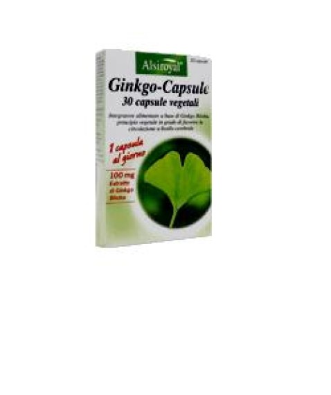 GINKGO CAPSULE 30CPS