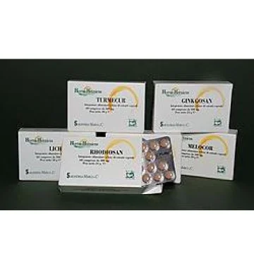 GINKGOSAN 60 Cpr 400mg SARAND. GINKGOSAN 60 Cpr 400mg SARAND.