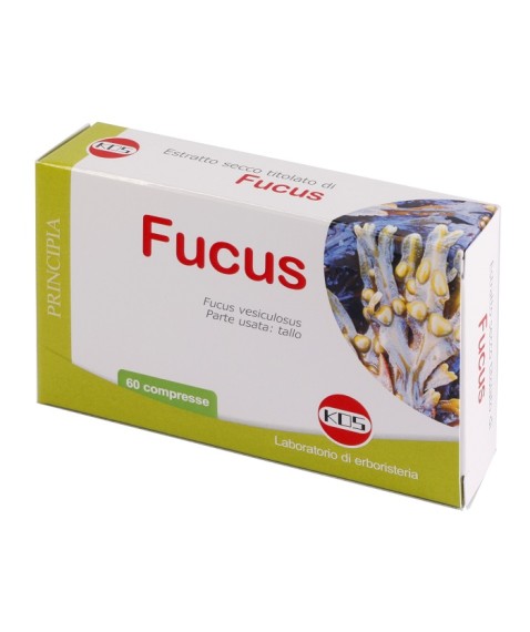 FUCUS ESTR SEC 60CPR