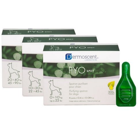 PYO Spot Cane 20-40Kg PYO Spot Cane 20-40Kg