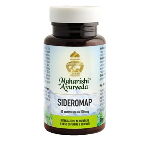 SIDEROMAP (MA 321) 60 Tav.30g SIDEROMAP (MA 321) 60 Tav.30g