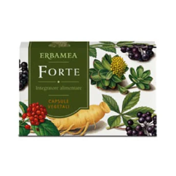 FORTE 24 Cps EBM FORTE 24 Cps EBM