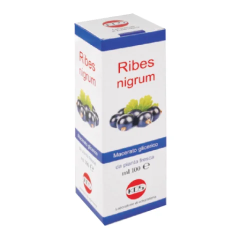 RIBES NIGRUM MG 100ML GTT KOS