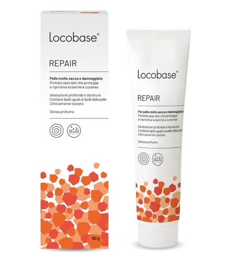 LOCOBASE-REPAIR 100G