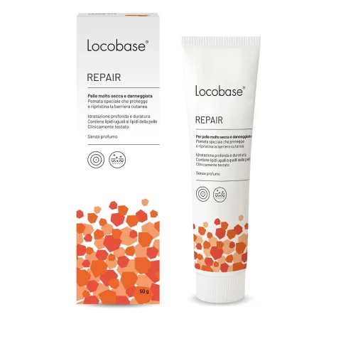 LOCOBASE-REPAIR 100G LOCOBASE-REPAIR 100G