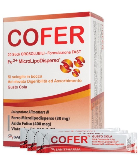 COFER 20 BUSTINE