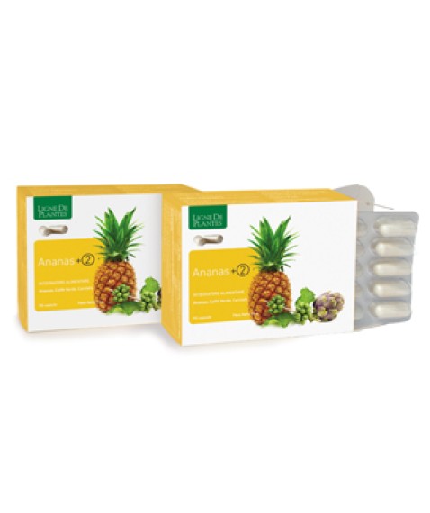 ANANAS+2 90 Cps NSE