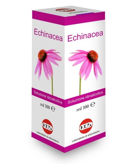 ECHINACEA SOL IAL PIANTA FR100