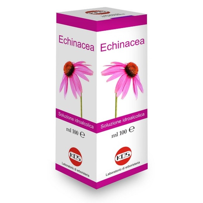 ECHINACEA SOL IAL PIANTA FR100