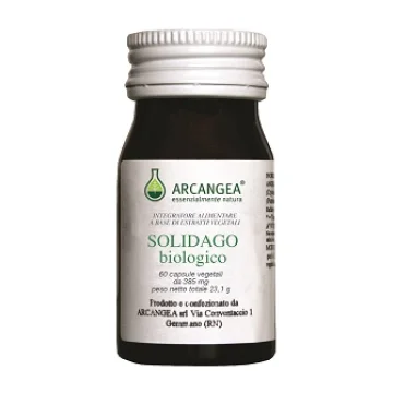 SOLIDAGO BIO 60CPS