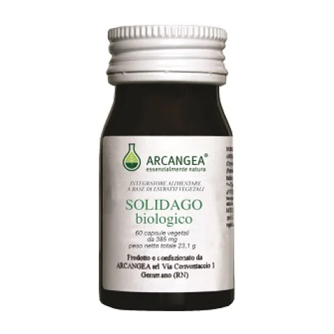 SOLIDAGO BIO 60CPS