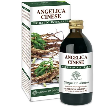 ANGELICA CINESE ESTR INTEGR S/ ANGELICA CINESE ESTR INTEGR S/