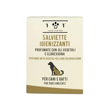 SALVIETTE IGIENIZZ 25PZ 101 LOVE FP