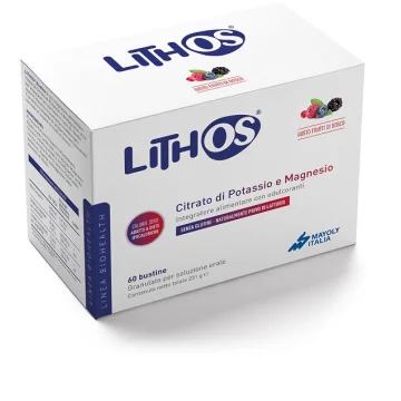LITHOS INT 60BS DA 4G