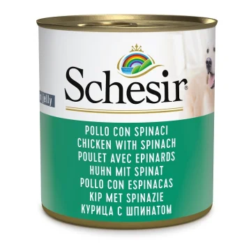 SCHESIR CANE JELLY POLLO SPINACI 285GR (lattina)
