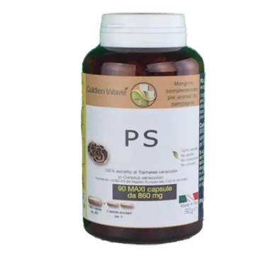 PS 90MAXI CPS