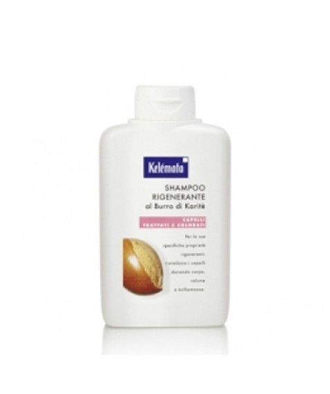 SHAMPOO RIGEN BURRO KARIT250ML