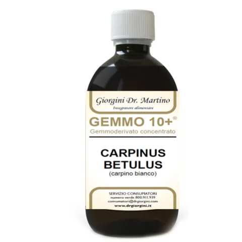 CARPINO BI 500ML ANALCO GEM10+ CARPINO BI 500ML ANALCO GEM10+