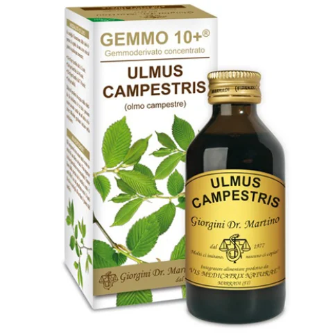 OLMO CAMP 100ML ANALCO GEM 10+