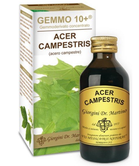 ACERO CAMP 100ML ANALCO GEM10+