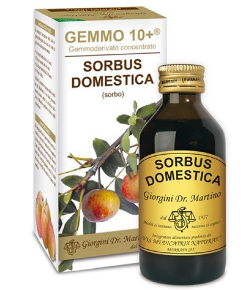 SORBO 100ML ANALCO GEMMO 10+