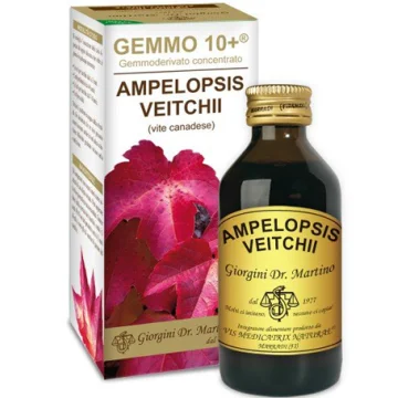 AMPELOPSIS V (VITE CAN)100ML LIQ AN