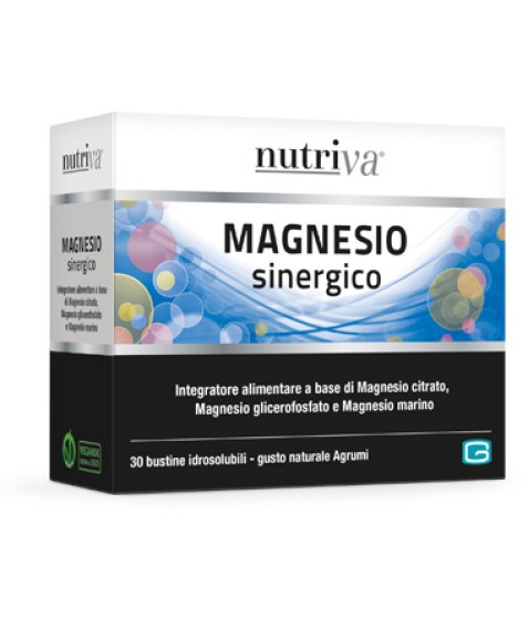 NUTRIVA MAGNESIO SINERGICO 66G