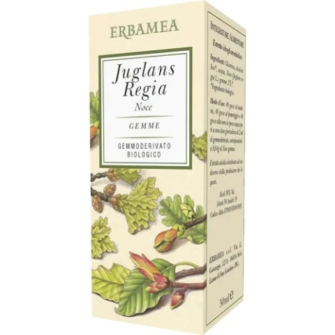 JUGLANS REGIA NOCE BIO 50ML JUGLANS REGIA NOCE BIO 50ML