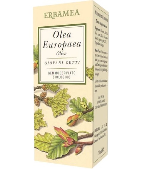 OLEA EUROPEA OLIVO 50ML