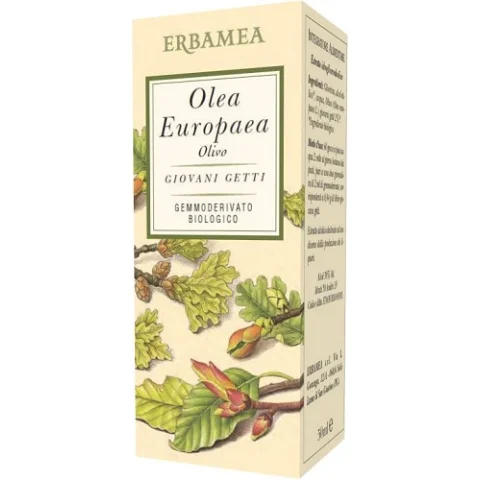 OLEA EUROPEA OLIVO 50ML OLEA EUROPEA OLIVO 50ML