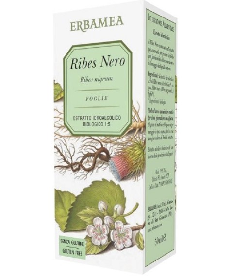 RIBES NERO 50ml EBM