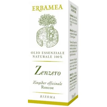 ZENZERO OE 10ML EBM