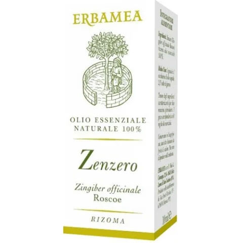 ZENZERO OE 10ML EBM