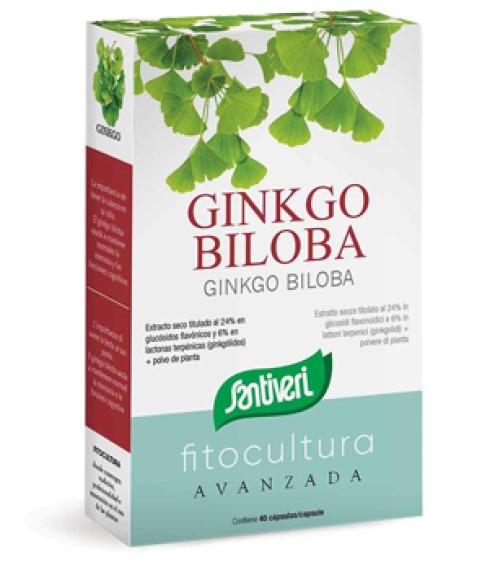 GINKGO BILOBA 40CPS