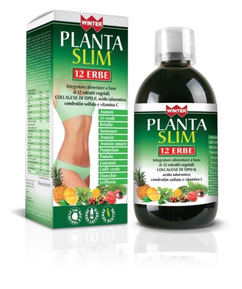 WINTER PLANTA SLIM 12ERBE500ML