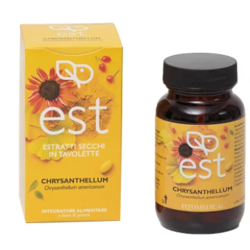 CHRYSANTHELLUM ES 60TAV EST