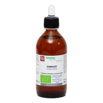 GINKGO BILOBA GD 200ML BIO