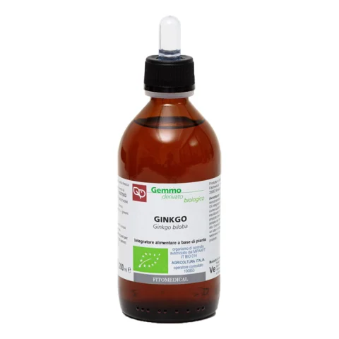 GINKGO BILOBA GD 200ML BIO