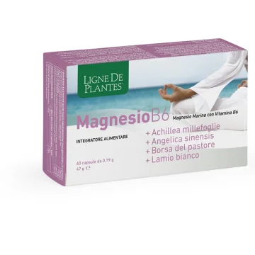 LIGNE MG B6+ACH+ANG+PAST+LAM