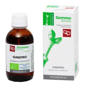 GINEPRO GD  50ML BIO