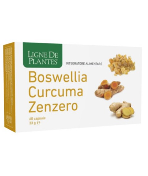 BOSWELLIA/CURC/ZENZ.60Cps NSE