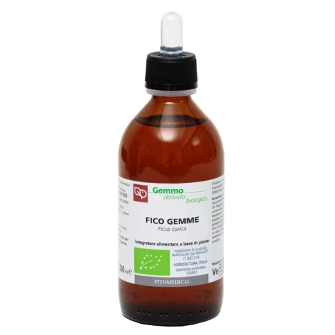 FICO GEMME GD 200ML BIO