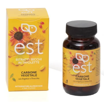 CARBONE VEGETALE ES 60TAV CARBONE VEGETALE ES 60TAV
