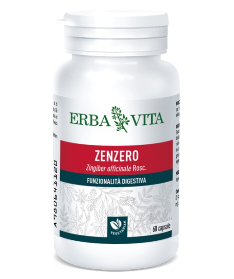 ZENZERO 60 Cps 500mg       EBV