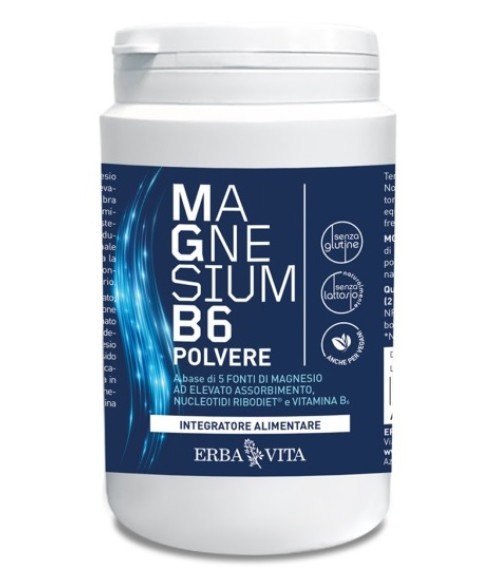 MAGNESIUM B6 Polv.200g     EBV